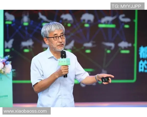 广州网球队个人能力分析与表现评估的全面研究与探讨