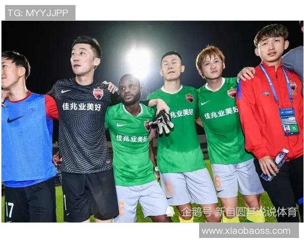 深圳羽毛球队在锦标赛中的强劲表现与战术分析